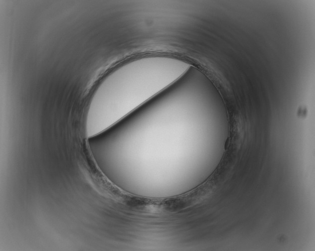 X0000112510496200908171051