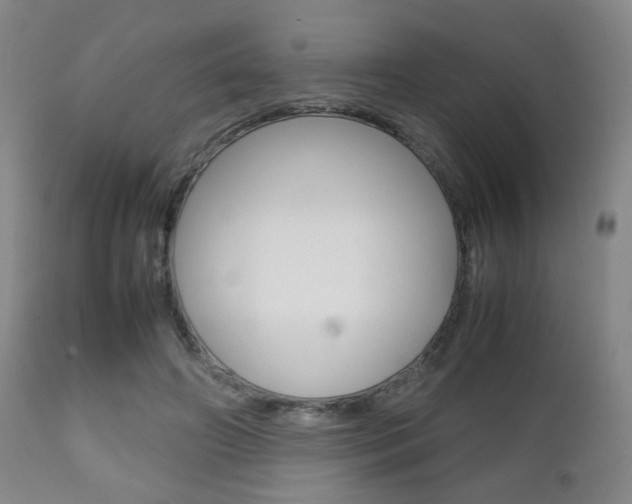 X0000112510498200908171051