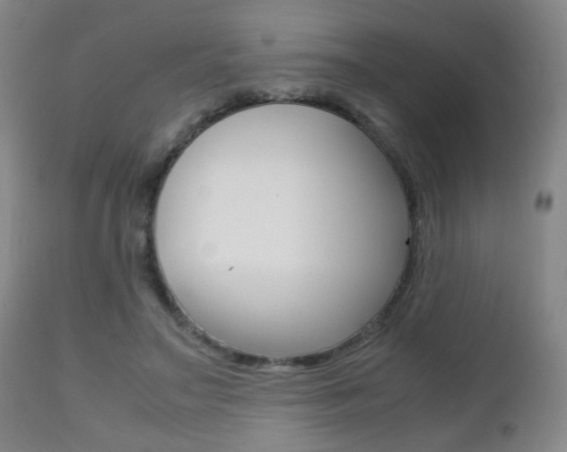 X0000112510499200908171051