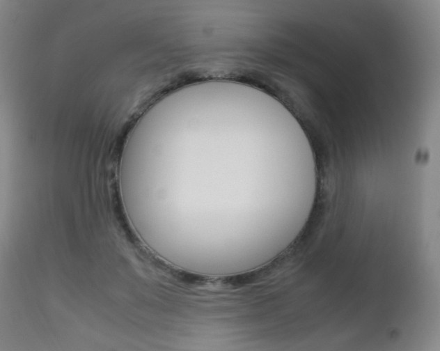 X0000112510503200908171051