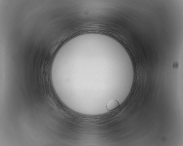 X0000112510504200908171051
