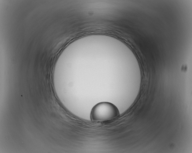 X0000112510505200908171051