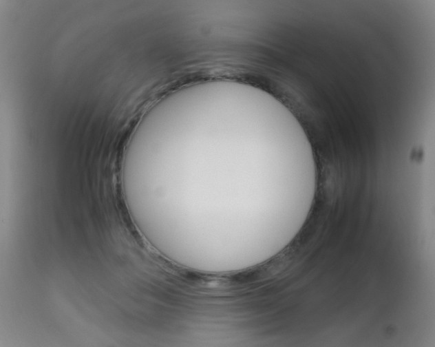 X0000112510506200908171051