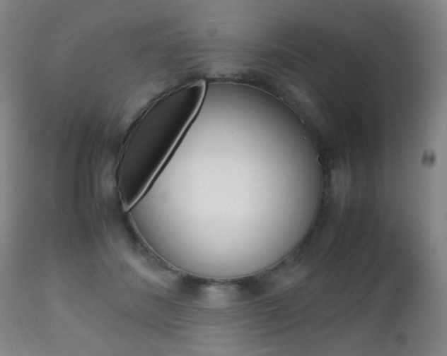 X0000112510508200908171051