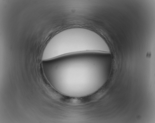 X0000112510509200908171051