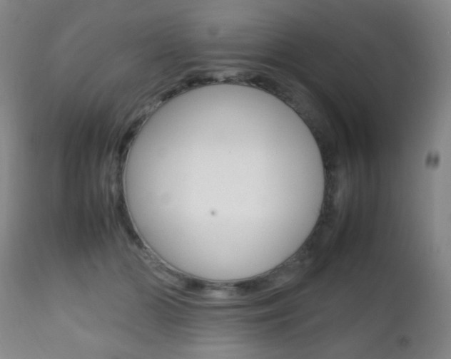 X0000112510510200908171051