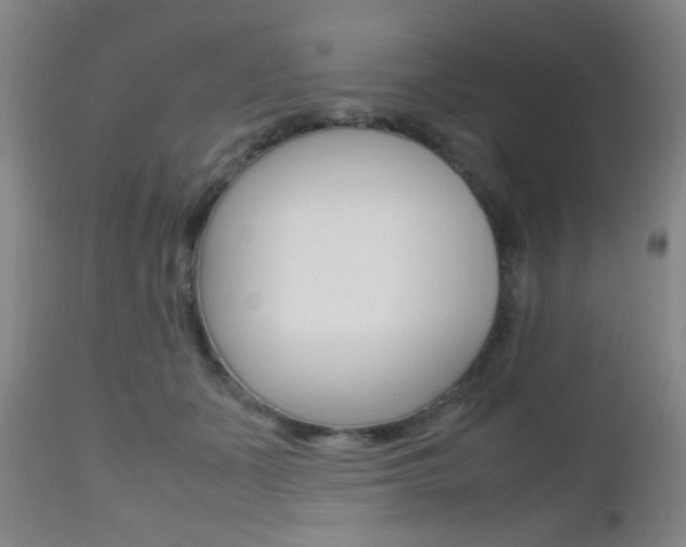 X0000112510511200908171051
