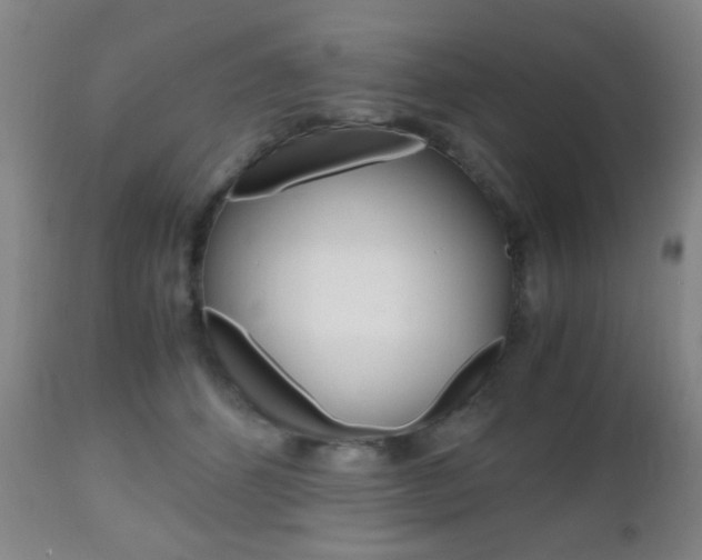 X0000112510512200908171051
