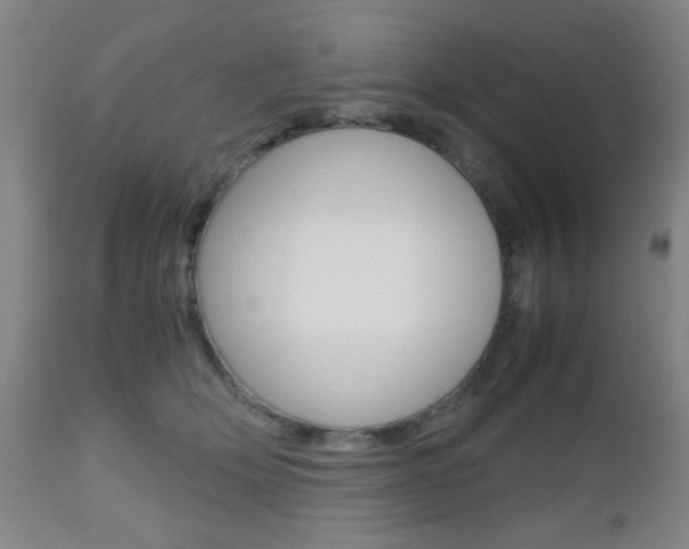 X0000112510514200908171051
