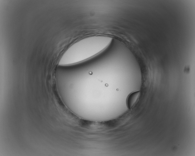 X0000112510515200908171051