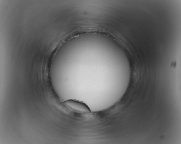 X0000112510516200908171051