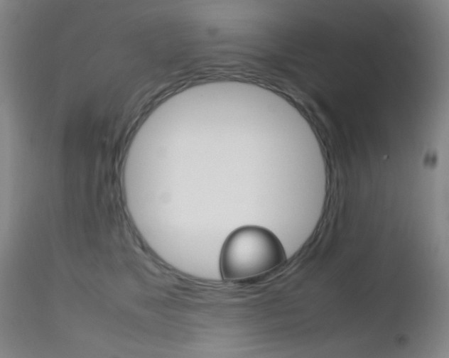 X0000112510517200908171051