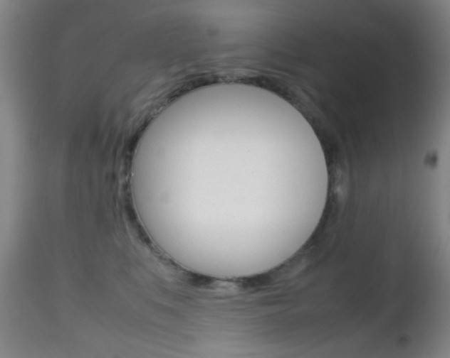 X0000112510519200908171051
