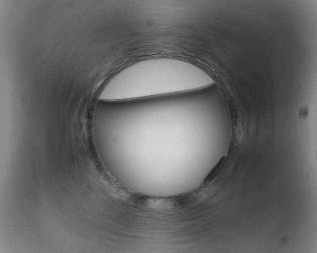 X0000112510520200908171051