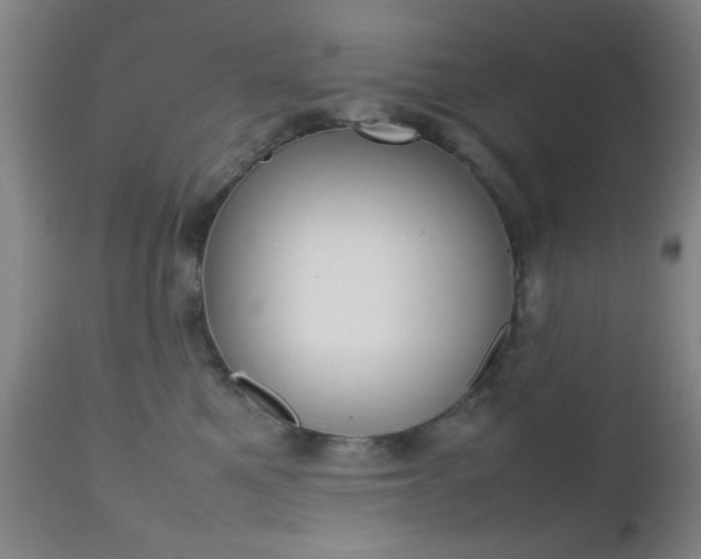 X0000112510521200908171051
