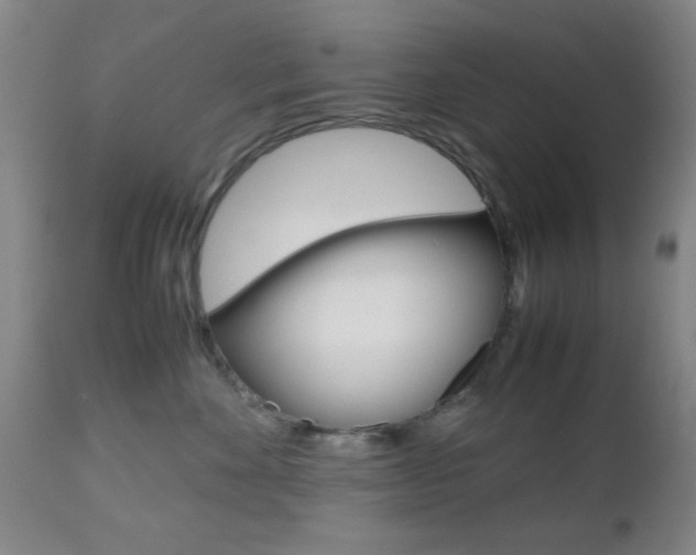 X0000112510524200908171051