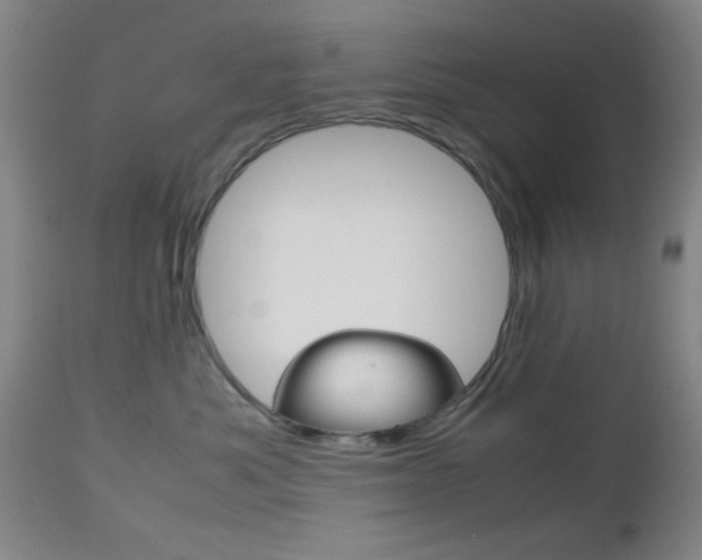X0000112510525200908171051
