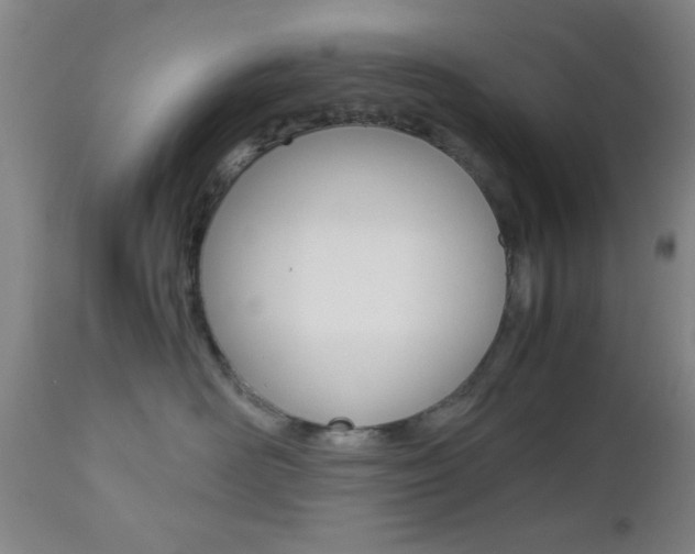 X0000112510526200908171051