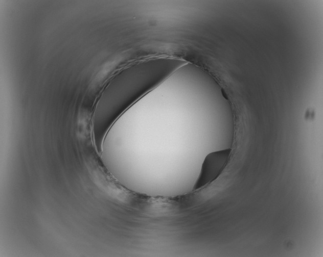 X0000112510528200908171051