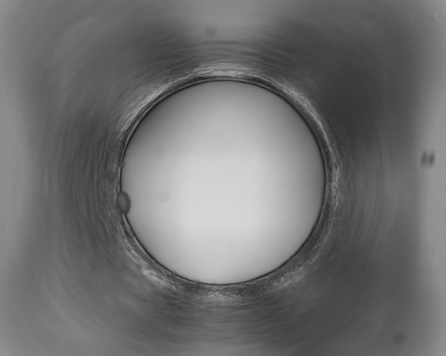 X0000112510529200908171050
