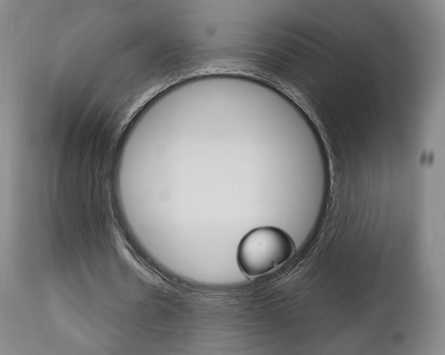 X0000112510530200908171050