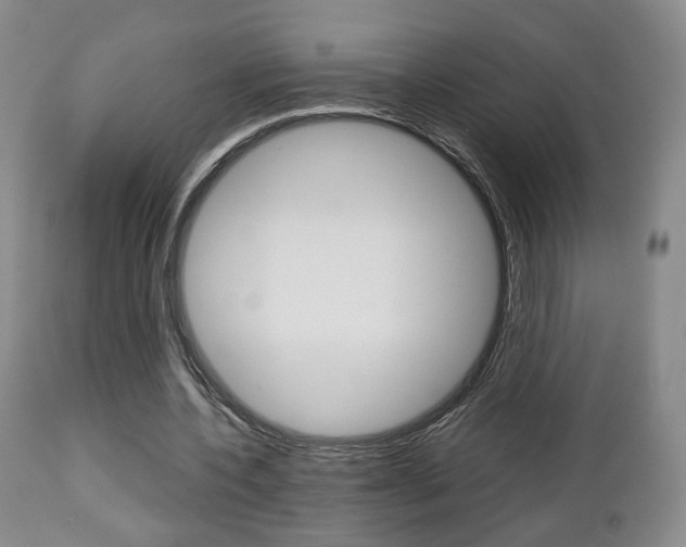 X0000112510532200908171050