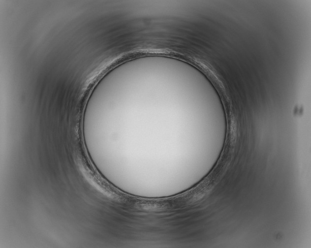 X0000112510533200908171050