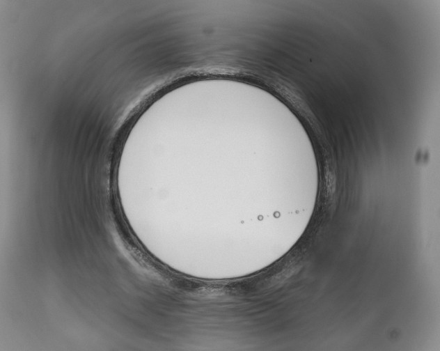 X0000112510534200908171050
