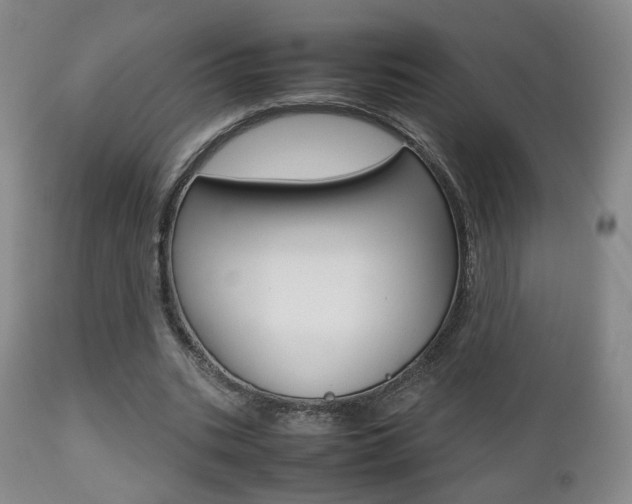 X0000112510535200908171050