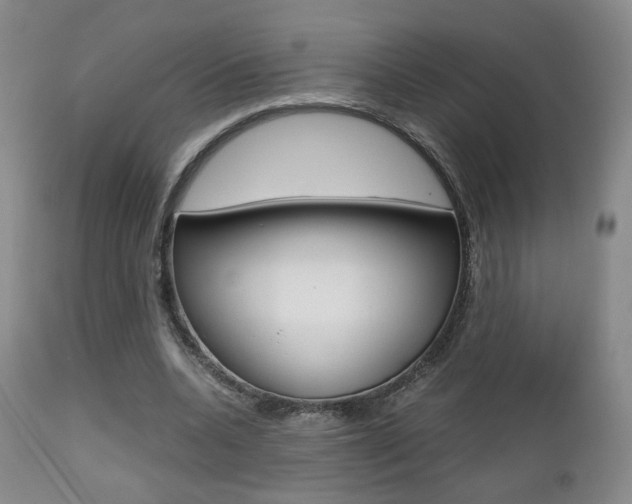 X0000112510536200908171050