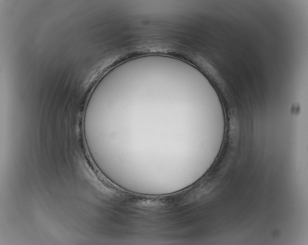 X0000112510537200908171050