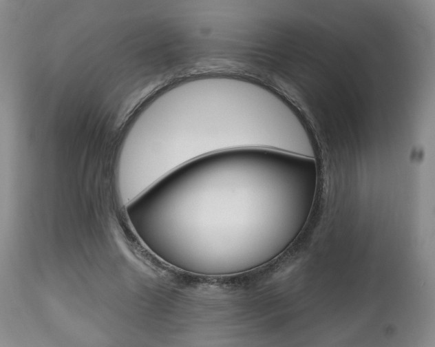 X0000112510538200908171050