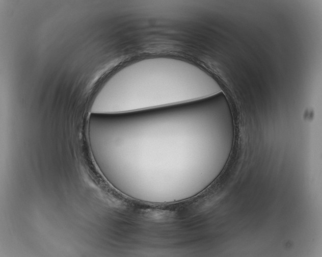 X0000112510539200908171050