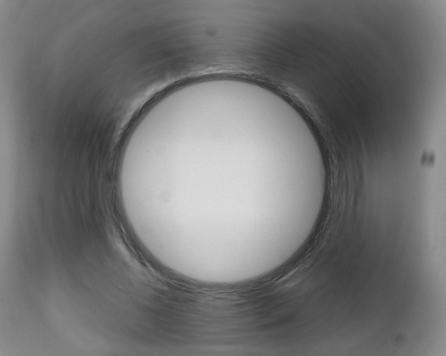 X0000112510540200908171050