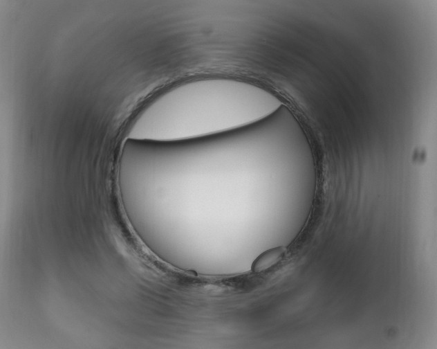 X0000112510542200908171051