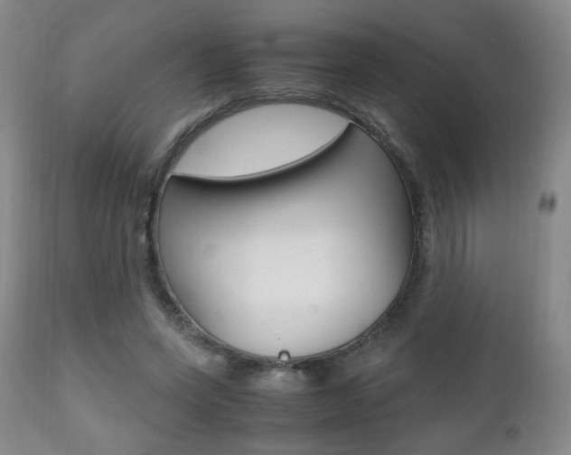 X0000112510543200908171051