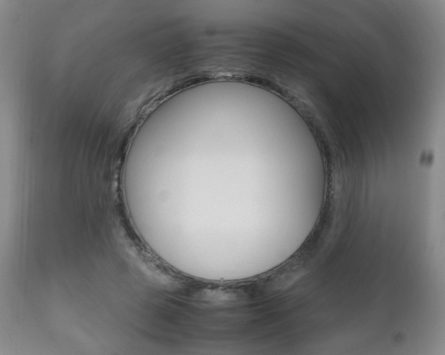 X0000112510545200908171051