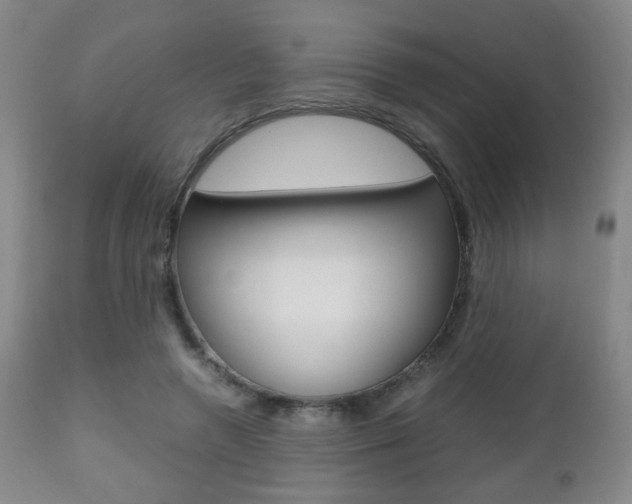X0000112510546200908171051