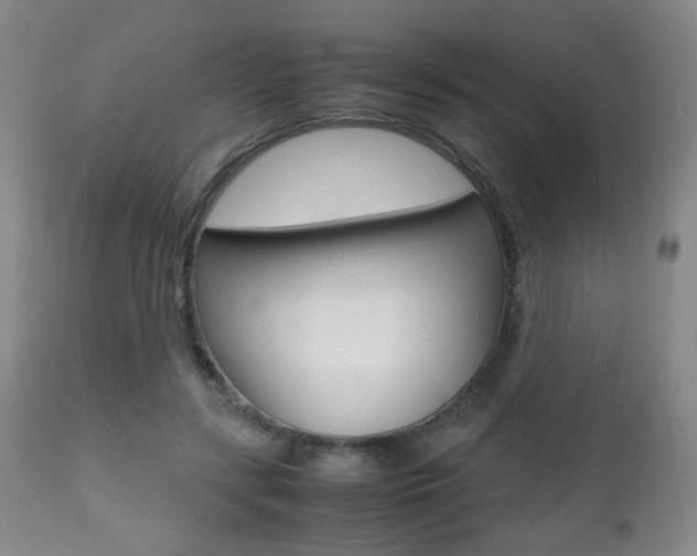 X0000112510547200908171051
