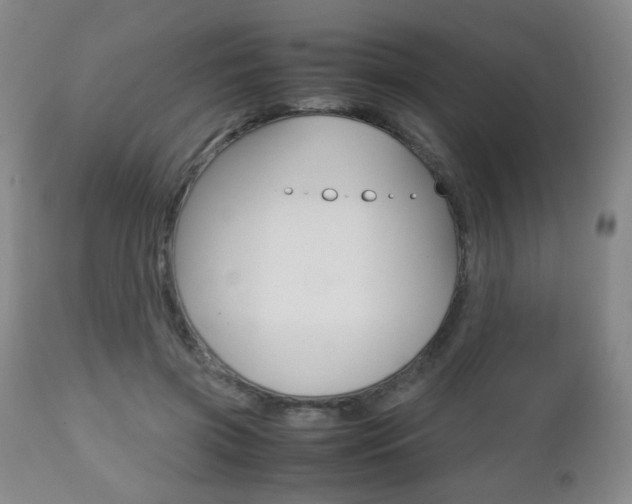 X0000112510549200908171051