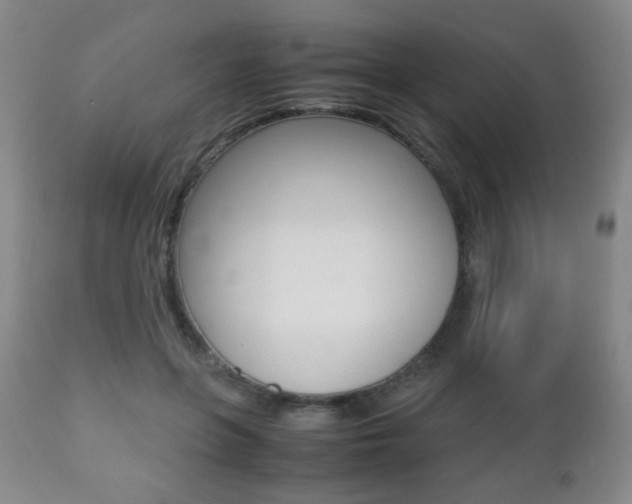 X0000112510551200908171051
