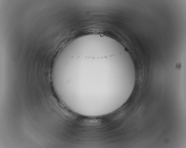 X0000112510553200908171051