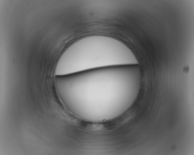 X0000112510554200908171051