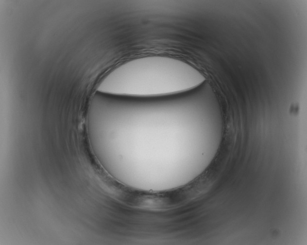 X0000112510555200908171051