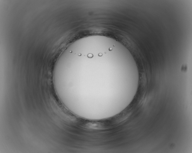 X0000112510557200908171051