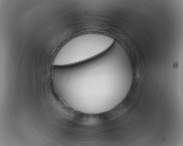X0000112510559200908171051