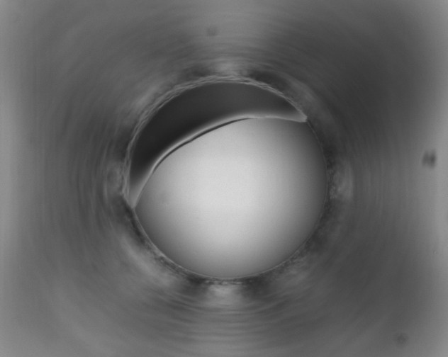 X0000112510560200908171051