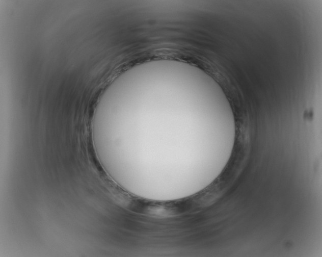 X0000112510561200908171051