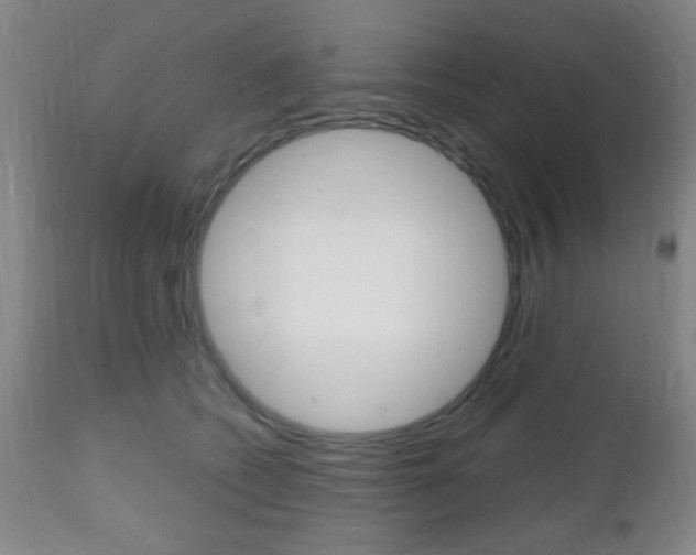 X0000112510562200908171051
