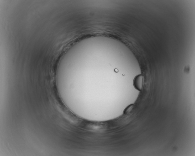 X0000112510563200908171051